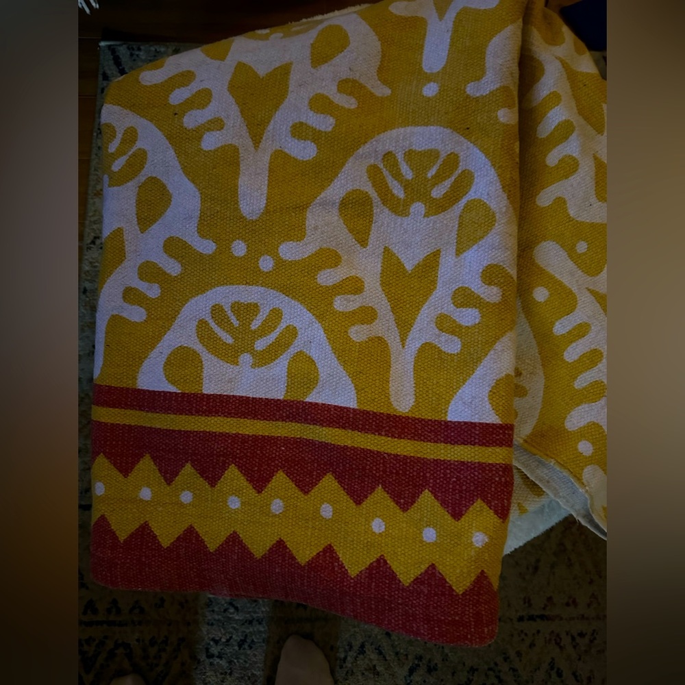 5 x 8 Indoor/Outdoor Area Rug